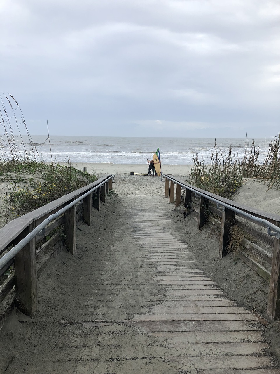 isle of palm, iop, beach-5104058.jpg